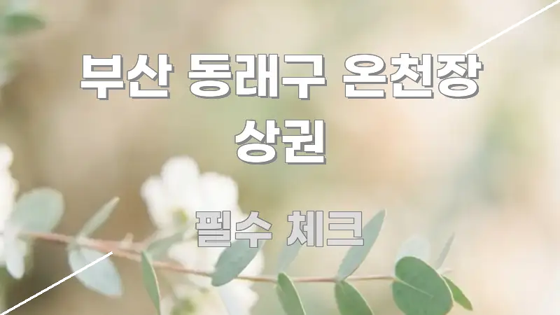 부산 동래구 온천장 상권 꼭 필요한 정보만 담은 정보 카드 디자인 이미지 - 가독성을 높이는 이미지