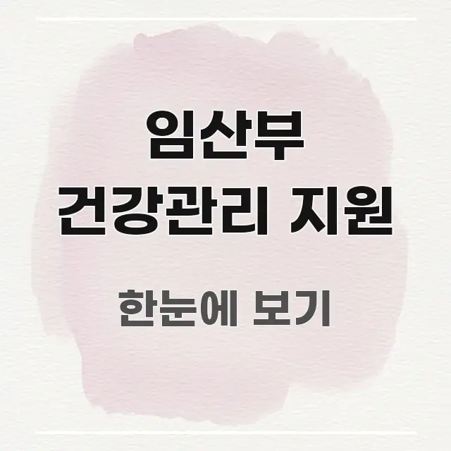임산부 건강관리 지원 중요 내용만 뽑은 정보 요약 포스터 - 참고용 이미지