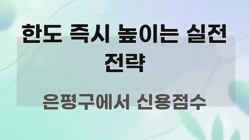 한도 즉시 높이는 실전 전략 심플하고 명확하게 정리한 정보 요약 인포그래픽 이미지 - 글 흐름을 돕는 시각 자료