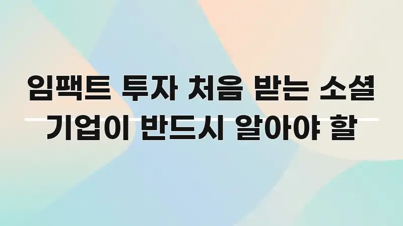임팩트 투자 처음 받는 소셜 기업이 반드시 알아야 할 꼭 알아야 할 정보를 담은 핵심 정보 비주얼