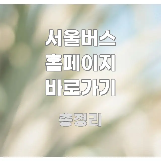 서울버스 홈페이지 바로가기 꼭 알아야 할 정보를 담은 정보 요약 인포그래픽 이미지 - 독자 이해를 위한 이미지