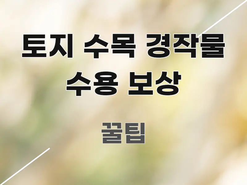 토지 수목 경작물 수용 보상 검증된 정보로 구성된 핵심 정리 썸네일 이미지 - 내용 요약을 위한 이미지