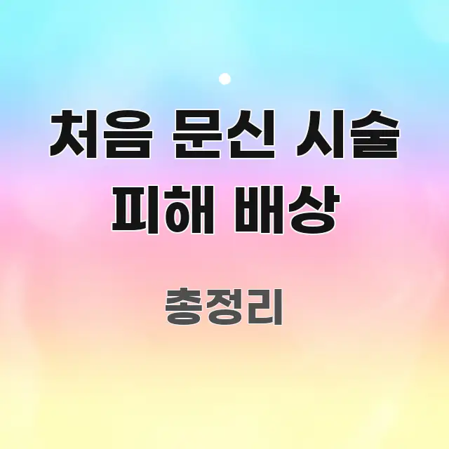처음 문신 시술 피해 배상 주요 흐름을 설명한 텍스트 중심 디자인 표지 - 글 흐름을 돕는 시각 자료