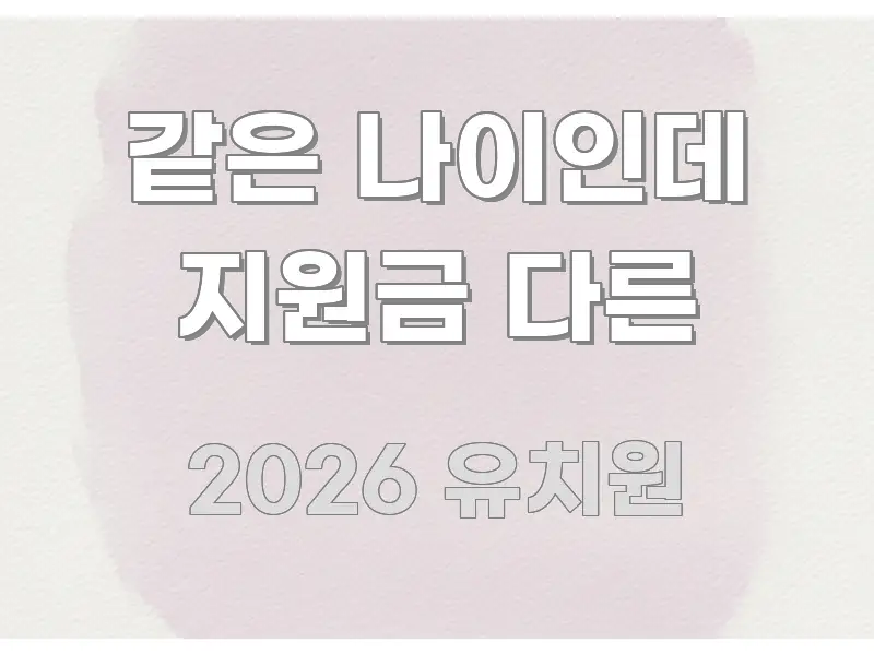 같은 나이인데 지원금 다른 핵심 요약 같은 나이인데 지원금 다른 꼭 알아야 할 정보를 담은 텍스트 중심 디자인 표지