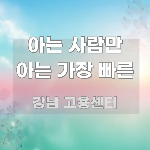 아는 사람만 아는 가장 빠른 주요 흐름을 설명한 스마트 정보 카드 - 설명을 돕는 이미지