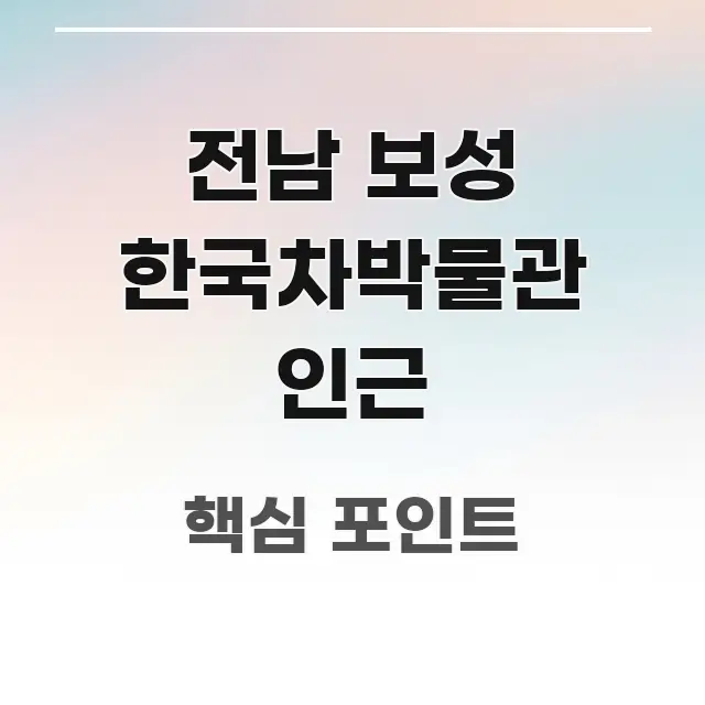 전남 보성 한국차박물관 인근 전문적으로 분석한 정보 요약 포스터 - 활용 예시 이미지