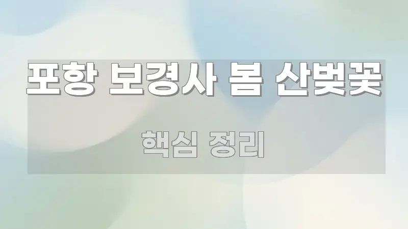 포항 보경사 봄 산벚꽃 구조적으로 정리된 포스트 대표 비주얼 이미지 - 참고용 이미지