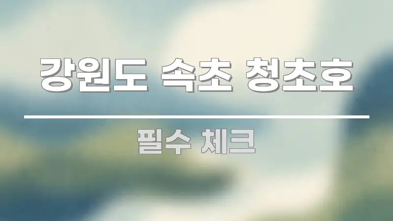 강원도 속초 청초호 전문적으로 분석한 핵심 요약 디자인 카드 - 가독성을 높이는 이미지