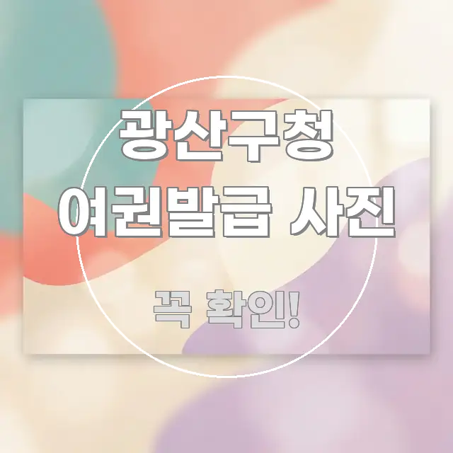 광산구청 여권발급 사진 실생활에 도움되는 텍스트 중심 디자인 표지