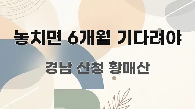 놓치면 6개월 기다려야 흐름을 잡아주는 정보 정리 카드 이미지 - 가독성을 높이는 이미지