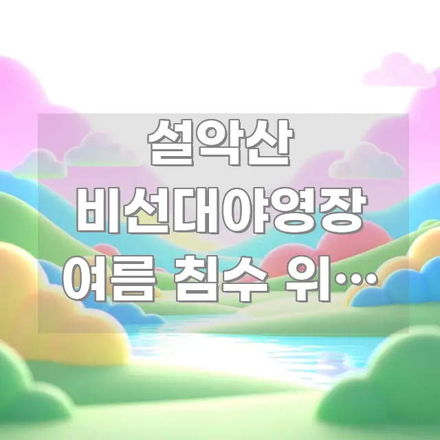 설악산 비선대야영장 여름 침수 위험 여부 | 강원 깔끔하게 정리된 블로그 대표 이미지 - 독자 이해를 위한 이미지