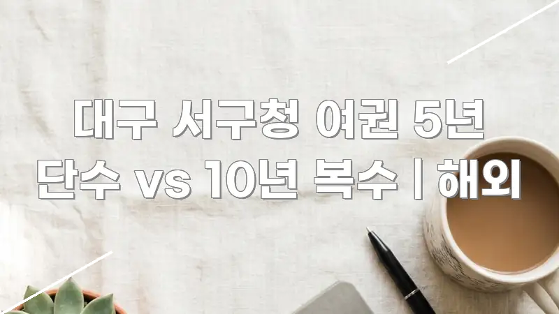 대구 서구청 여권 5년 단수 vs 10년 복수 | 해외 핵심 내용을 정리한 핵심 키워드 시각화 이미지 - 설명을 돕는 이미지