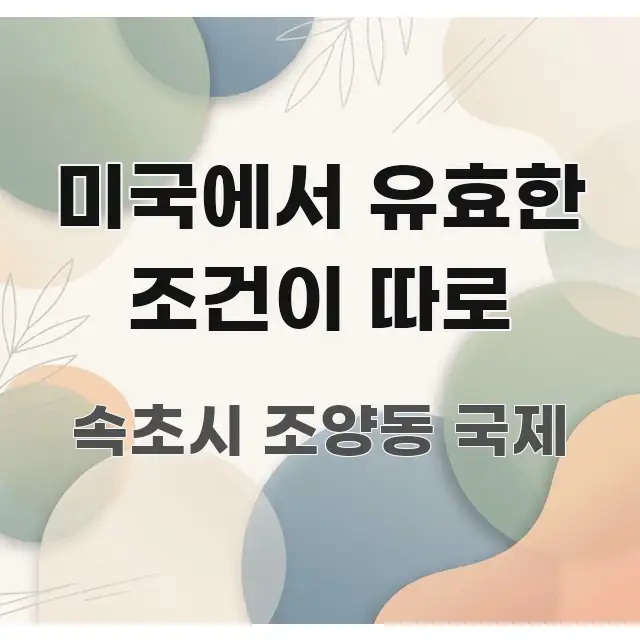 미국에서 유효한 조건이 따로 핵심 정보 중심의 텍스트 중심 디자인 표지 - 참고용 이미지