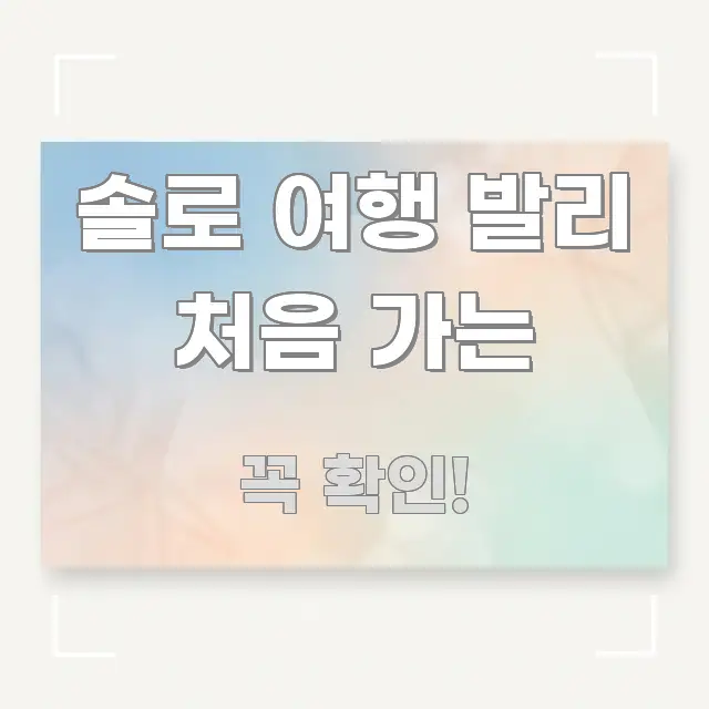 솔로 여행 발리 처음 가는 효율적으로 구성된 정보 요약 인포그래픽 이미지