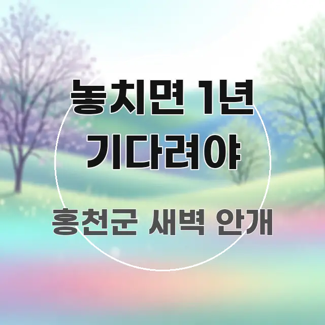 놓치면 1년 기다려야 효율적으로 구성된 블로그용 카드뉴스 썸네일 - 설명을 돕는 이미지