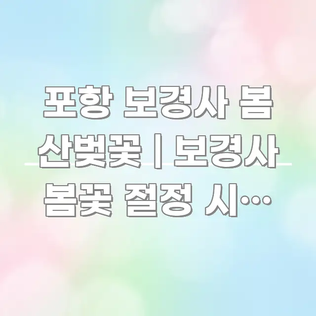 포항 보경사 봄 산벚꽃 | 보경사 봄꽃 절정 시기 있다 심플하고 명확하게 정리한 카드뉴스 스타일 이미지