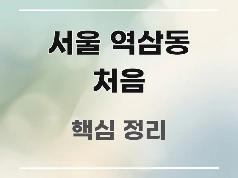 서울 역삼동 처음 정보 이미지 서울 역삼동 처음 핵심 내용을 정리한 핵심 정보 비주얼 - 참고용 이미지