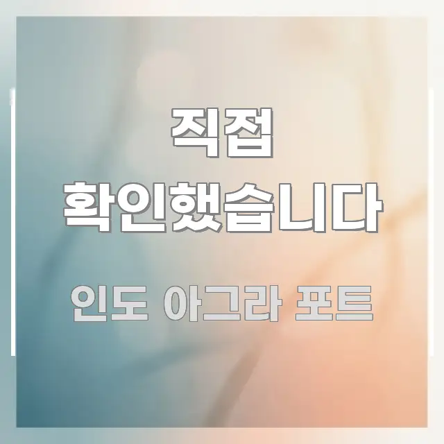 직접 확인했습니다 신뢰할 수 있는 정보를 담은 블로그 섹션 구분 이미지 - 활용 예시 이미지