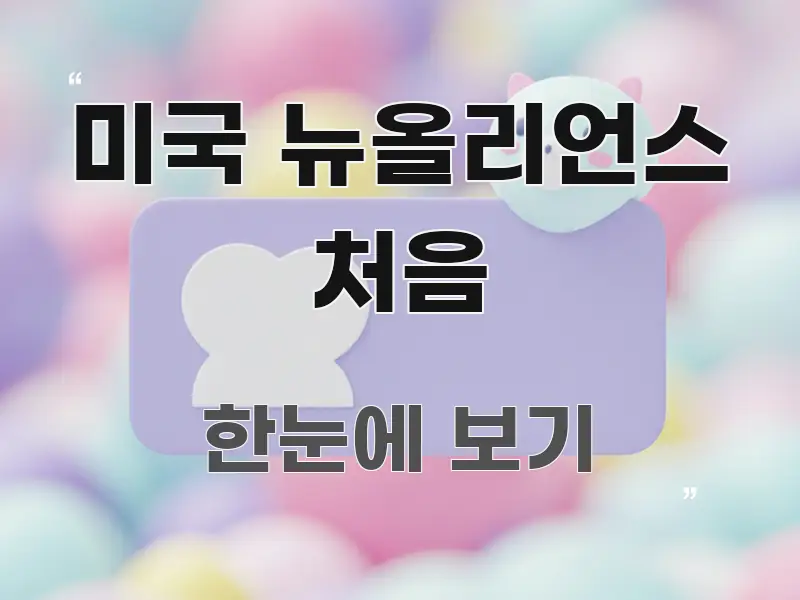 미국 뉴올리언스 처음 이해하기 쉬운 정보 정리 카드 이미지