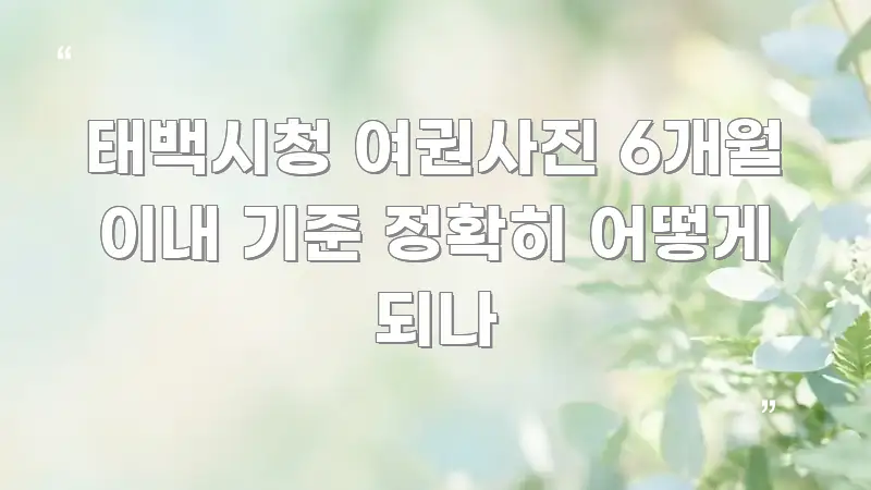 태백시청 여권사진 6개월 이내 기준 정확히 어떻게 되나 한눈에 들어오는 깔끔한 인포그래픽 표지 - 가독성을 높이는 이미지