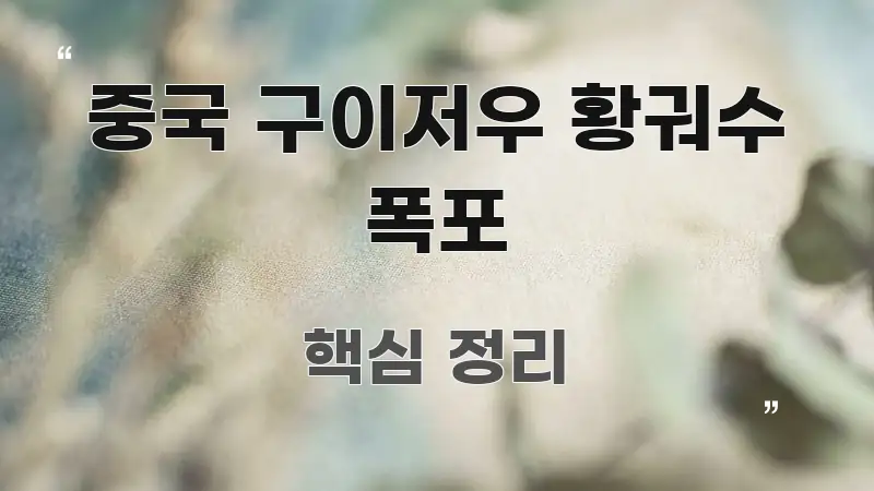 중국 구이저우 황궈수 폭포 정보 이미지 중국 구이저우 황궈수 폭포 간결하고 명료한 깔끔한 인포그래픽 표지
