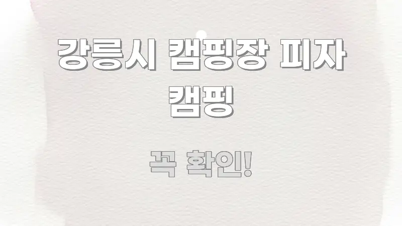강릉시 캠핑장 피자 캠핑 전문가가 선별한 핵심 요약 디자인 카드 - 글 흐름을 돕는 시각 자료