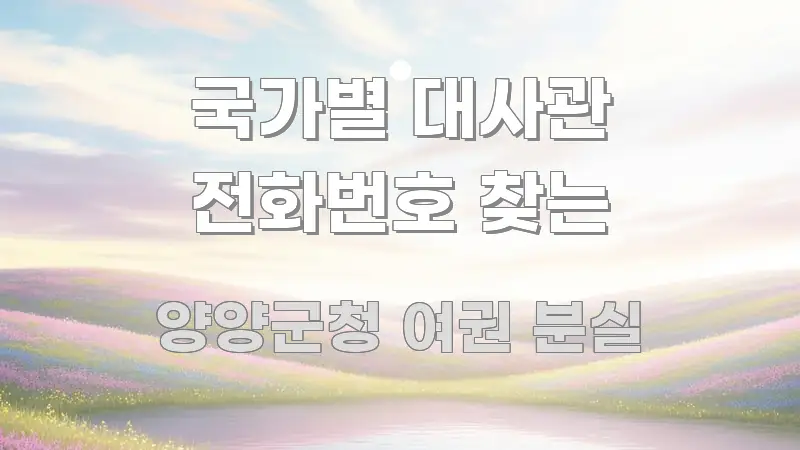 국가별 대사관 전화번호 찾는 핵심 정보를 압축한 가독성 높은 정보 이미지