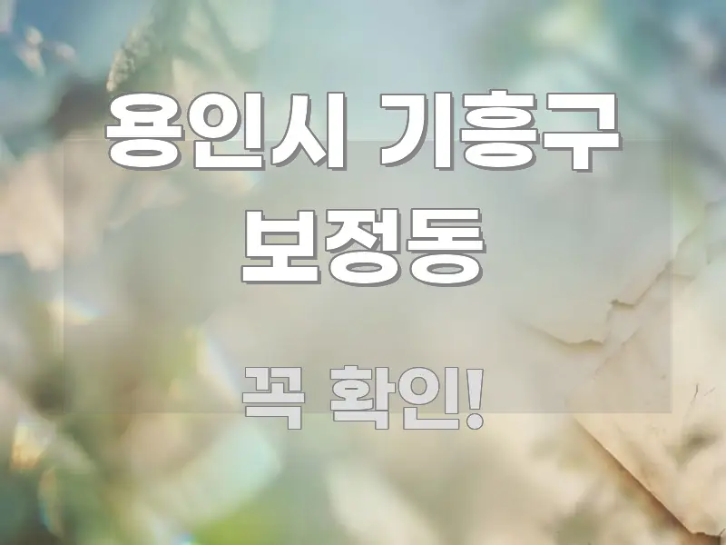 용인시 기흥구 보정동 직관적으로 이해되는 정보 요약 인포그래픽 이미지 - 본문 내용과 연관된 이미지