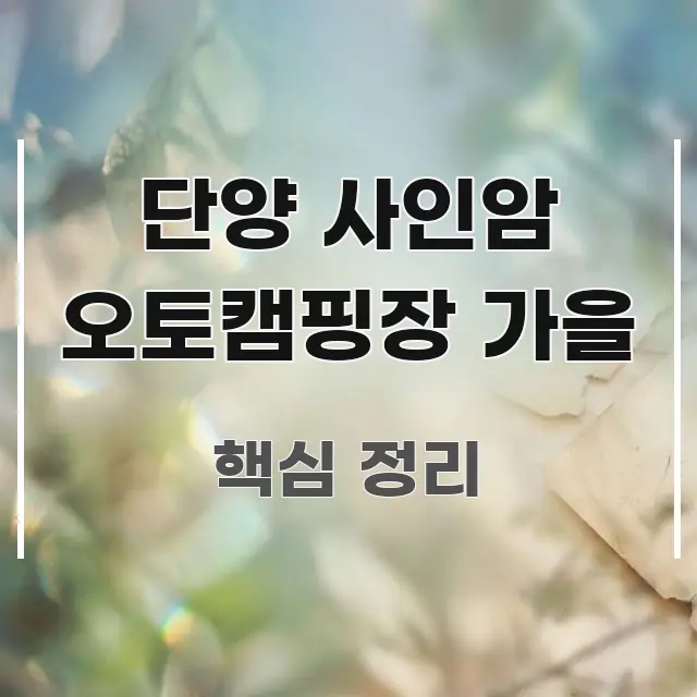 단양 사인암 오토캠핑장 가을 흐름을 잡아주는 정보 요약 인포그래픽 이미지