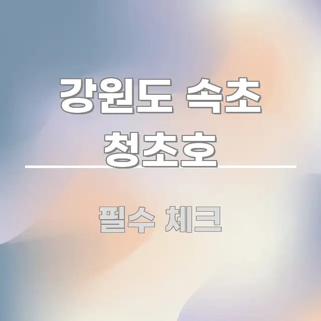 강원도 속초 청초호 실생활에 도움되는 텍스트 중심 디자인 표지 - 설명을 돕는 이미지