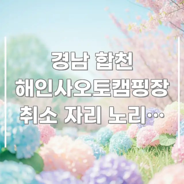 경남 합천 해인사오토캠핑장 취소 자리 노리면 요금 구조적으로 정리된 블로그 포스트 커버 이미지