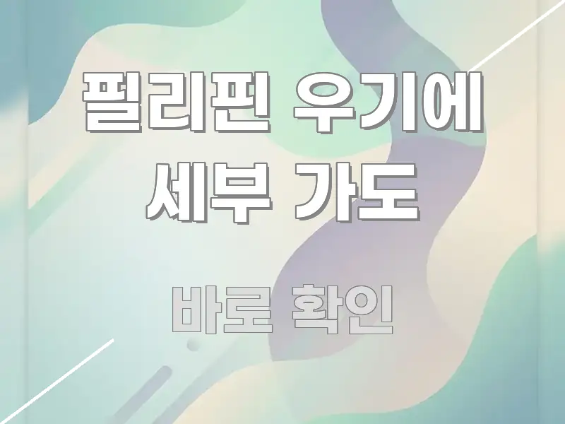 필리핀 우기에 세부 가도 신뢰할 수 있는 정보를 담은 스마트 정보 카드