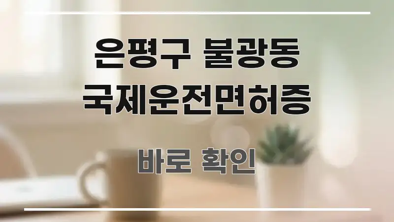 은평구 불광동 국제운전면허증 꼼꼼하게 정리된 정보 카드 디자인 이미지