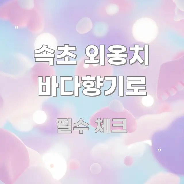 속초 외옹치 바다향기로 한 번에 이해되는 카드뉴스 스타일 이미지