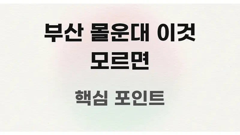 부산 몰운대 이것 모르면 간결하고 명료한 깔끔한 인포그래픽 표지