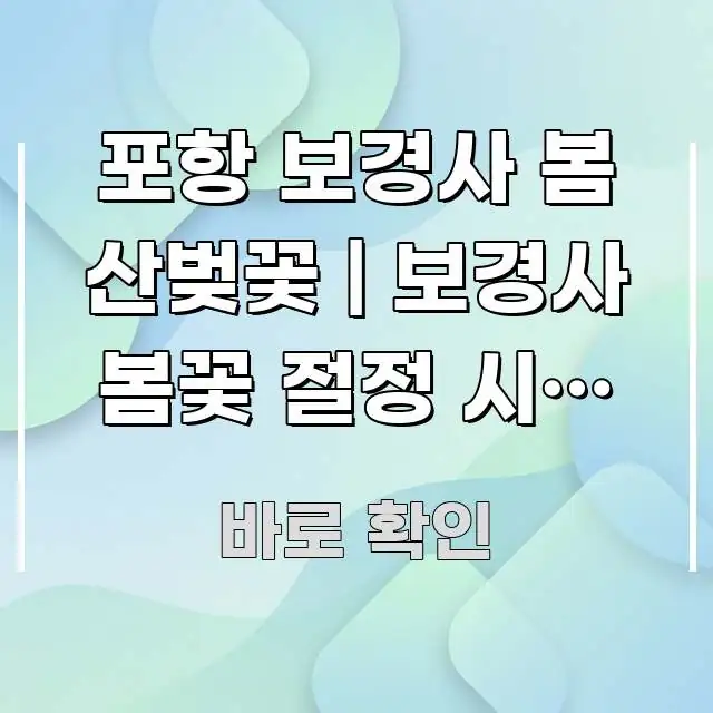 포항 보경사 봄 산벚꽃 | 보경사 봄꽃 절정 시기 있다 검증된 정보로 구성된 모던 카드뉴스 디자인 - 본문 내용과 연관된 이미지