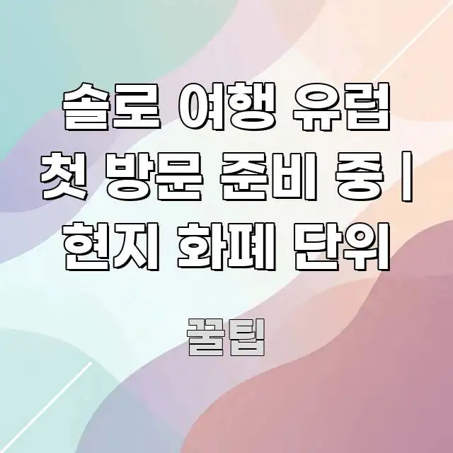 솔로 여행 유럽 첫 방문 준비 중 | 현지 화폐 단위 주요 흐름을 설명한 핵심 키워드 시각화 이미지 - 내용 요약을 위한 이미지