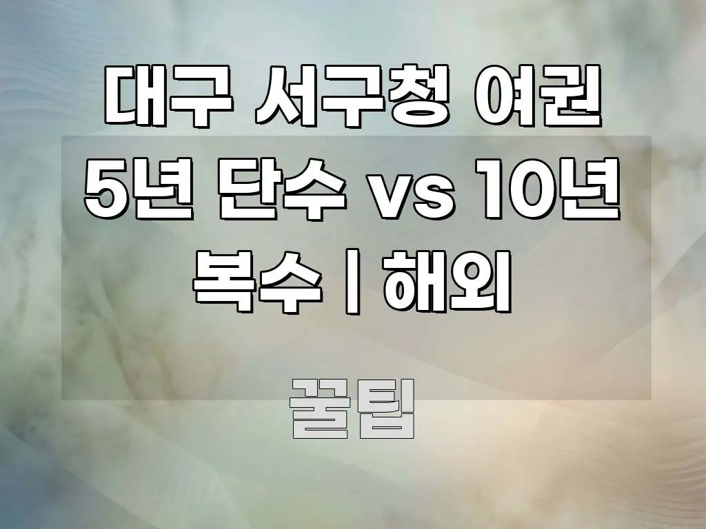 대구 서구청 여권 5년 단수 vs 10년 복수 | 해외 검증된 정보로 구성된 가독성 높은 정보 이미지