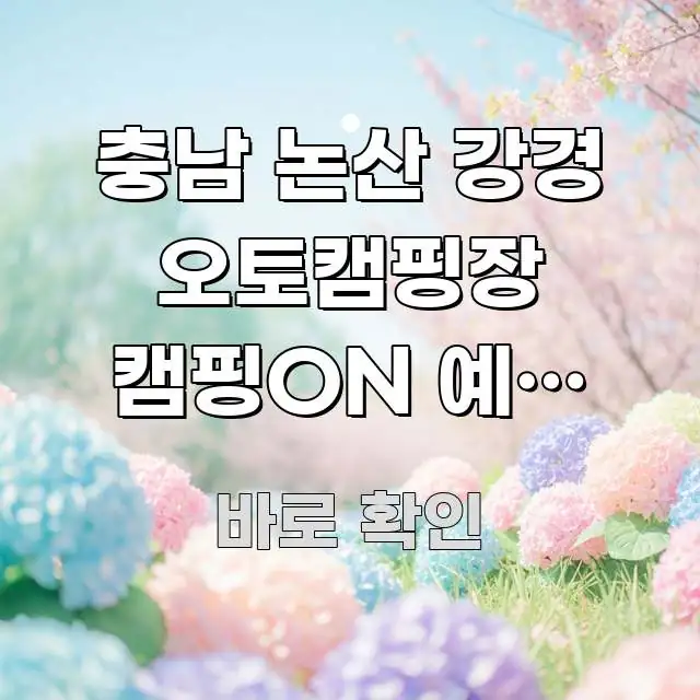 충남 논산 강경 오토캠핑장 캠핑ON 예약 방법 처음 심플하고 명확하게 정리한 블로그용 카드뉴스 썸네일 - 내용 요약을 위한 이미지