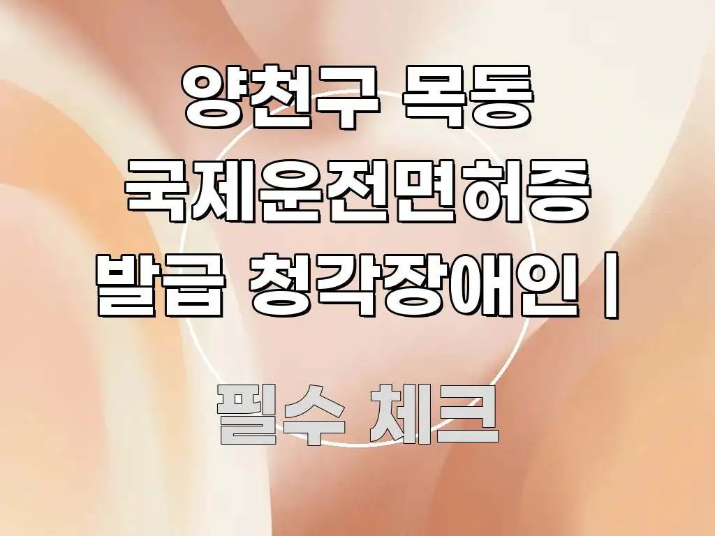 양천구 목동 국제운전면허증 발급 청각장애인 | 핵심 개념을 담은 블로그 대표 이미지 - 독자 이해를 위한 이미지