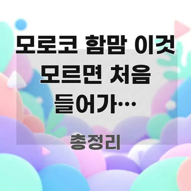 모로코 함맘 이것 모르면 처음 들어가면 당황합니다 | 핵심 개념을 담은 정보 요약 포스터 - 활용 예시 이미지