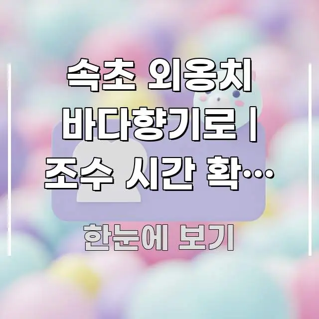 속초 외옹치 바다향기로 | 조수 시간 확인 안 하면 핵심 정보 중심의 포스트 대표 비주얼 이미지 - 본문 내용과 연관된 이미지