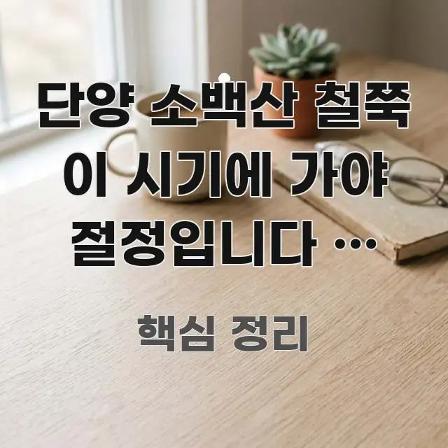 단양 소백산 철쭉 이 시기에 가야 절정입니다 | 직접 흐름을 잡아주는 글 소개 썸네일 이미지 - 설명을 돕는 이미지