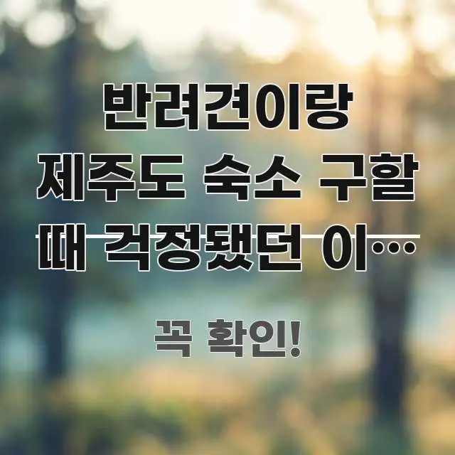 반려견이랑 제주도 숙소 구할 때 걱정됐던 이유 | 독자를 위해 선별한 콘텐츠 요약 표지 이미지 - 활용 예시 이미지