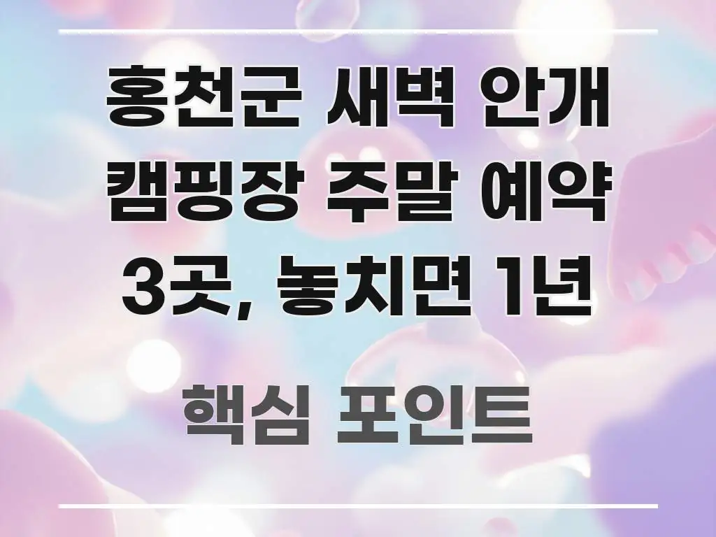 홍천군 새벽 안개 캠핑장 주말 예약 3곳, 놓치면 1년 한 번에 이해되는 텍스트 중심 디자인 표지