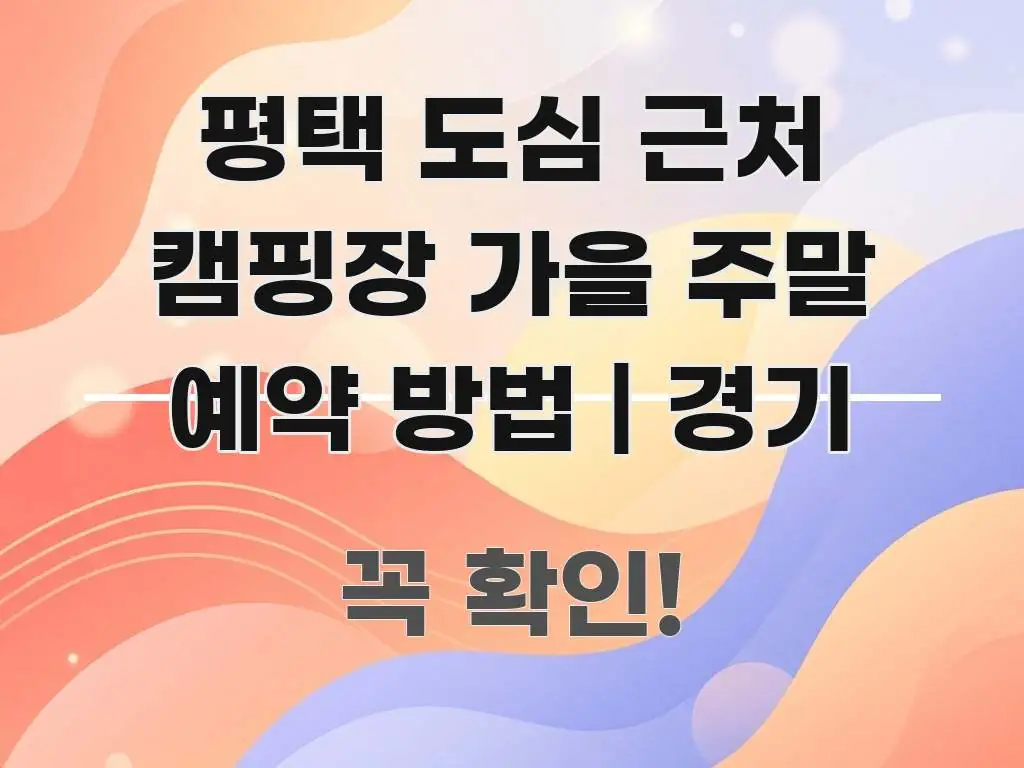 평택 도심 근처 캠핑장 가을 주말 예약 방법 | 경기 쉽게 따라할 수 있는 블로그 섹션 구분 이미지