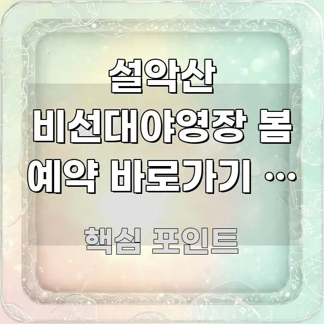 설악산 비선대야영장 봄 예약 바로가기 | 강원 설악산 빠르게 이해할 수 있는 심플 타이포그래피 표지 - 글 흐름을 돕는 시각 자료