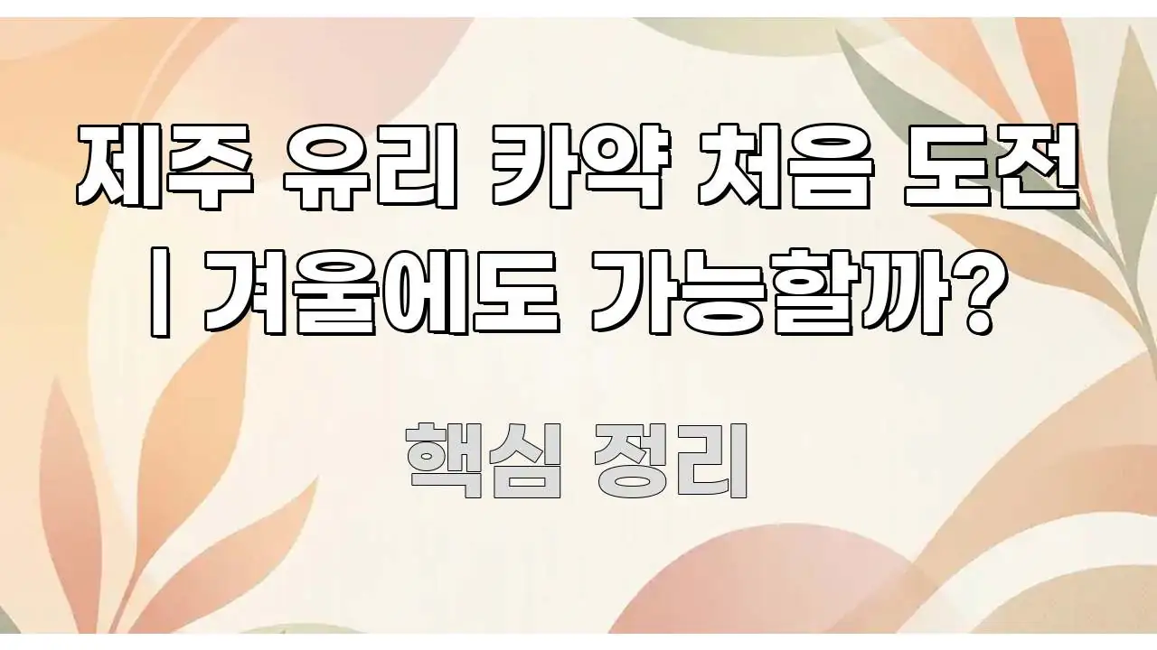 제주 유리 카약 처음 도전 | 겨울에도 가능할까? 요점만 뽑아낸 정보 카드 디자인 이미지 - 참고용 이미지
