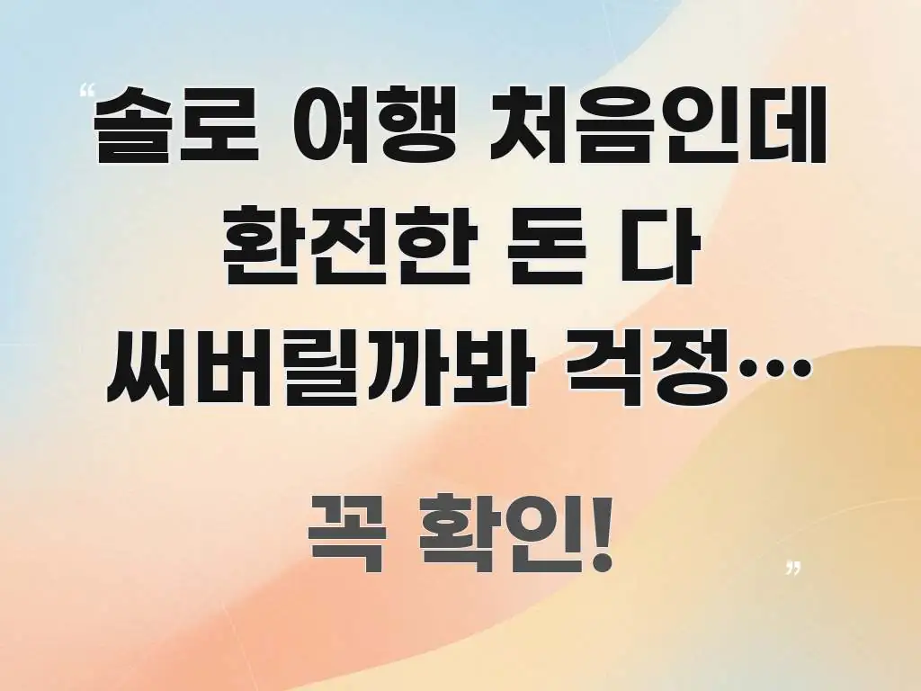 솔로 여행 처음인데 환전한 돈 다 써버릴까봐 걱정인 분 구조적으로 정리된 텍스트 중심 디자인 표지 - 설명을 돕는 이미지