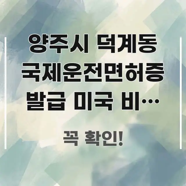 양주시 덕계동 국제운전면허증 발급 미국 비용 총정리, 스마트하게 정리된 정보 카드 디자인 이미지
